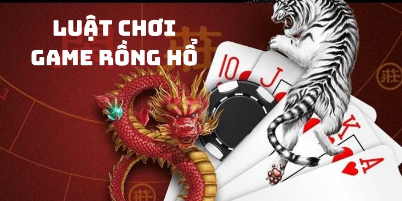 Luật lệ cơ bản trong Dragon Tiger hội viên cần nắm được